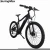 Import 1000 watt black bike 7s Shimano freewheel unfolding electric bicycle from China