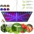 Import 1000w Indoor LED Grow Light Full Spectrum Hydroponic Lamp for All 45w Efficiency 1000w 7kg/12kg/ Box 1000W,31W EU/US/UK/AU 50000 from China