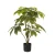 Import 1.15m Artificial Emerald Indoor Plant For The Floor from China