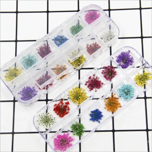 12 color nail art glue dry flower material package 24 flower flower accessories