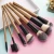 Import 13PCS Professional Cosmetic Brush Set Makeup Brush with Fabric Pouch from China
