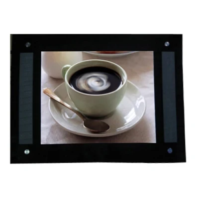 15 Inch Advertising Displayer for Bus (HA15A)