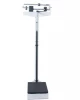160kg Height and Weight Measuring Instrument Scale  with lever poise type