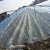 Import 200 micron Transparent Agricultural Plastic Film Sheeting Clear Polyethylene Greenhouse Films from China