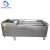 Import 2019 Industrial automatic red date palm roller brush vegetable cleaning washing machine from China