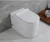 Import 2020 Amaze New design sanitary ware ceramic wc toilet without tank from China