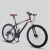 Import 27 speed  MTB bicycle for woman/wholesale high carbon steel mountain bike for export/new model MTB bicycle with dual disc brake from China