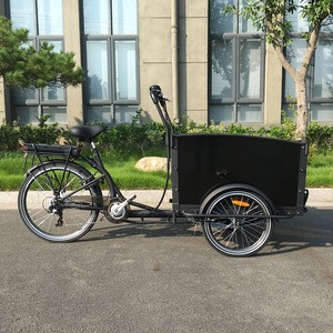 3 wheel bike Family electric cargo bicycle with front loading box for children