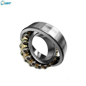 45*100*25 mm Low Price and High Quality Self-aligning Ball Bearing 1309