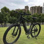 750w Customized fat bike Wholesale downhill bicycle New model bikes for men high quality snow electric bike ebike