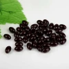 95% Grape Seed Extract