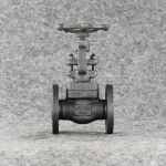 A105 13CR Flange Steam Full Bore Globe Valve Price
