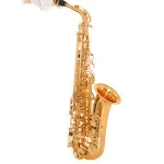 Accept OEM Dasheng Music DSAS-711 Chinese Cheap Wind Instrument Alto Saxophone
