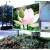 Import Ad Screen Outdoor Digital Signage Billboards LED Display Screen for Sale from China