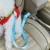 Import Adjustable Pet Nylon Car Vehicle Safety Seat Belt Restraint for Cat or Dog from China