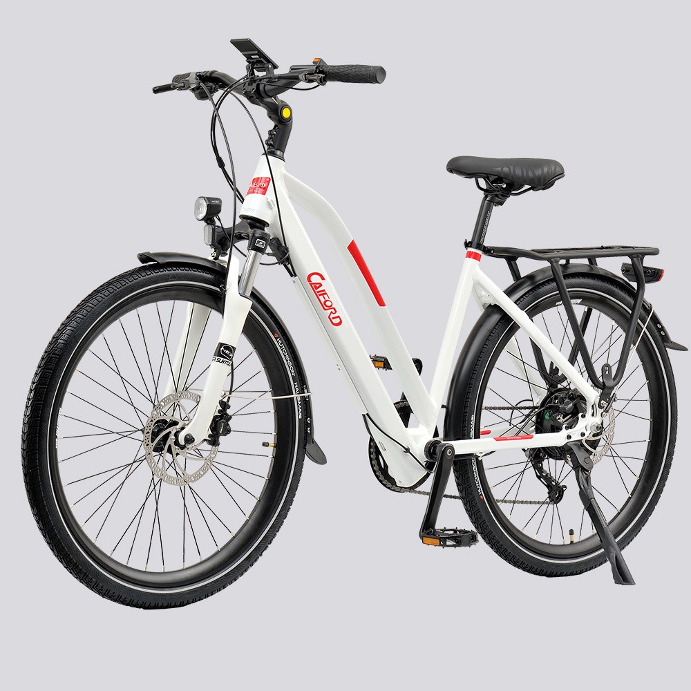 Affordable 26inch 36V250W, Rear Driving Brushless Motor with Easy Release Connection Bafang Ebike