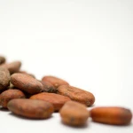 African origin 100% Quality Cocoa Beans From High Quality Suppliers for sale