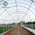 Import agricultural strawberry Heating System blackout film greenhouse from China
