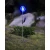 Import Amazon Hot Sales Cheap Flower LED Landscape Outdoor Solar Flower Garden Stake Path Lights from China