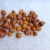 Import Animal Extract / Supply High Quality Natural Cow Gallstones from Philippines