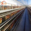 Automatic chicken layer house Galvanized poultry chicken cage Q235 steel wire mesh laying hen battery cages for Ghana farm sale