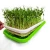 Import Automatic water control seedling tray, hydroponic sprouts planting rack tray soilless cultivation balcony from China