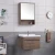Bathroom Vanity Modern Wall Mounted Grey Cabinet Bathroom