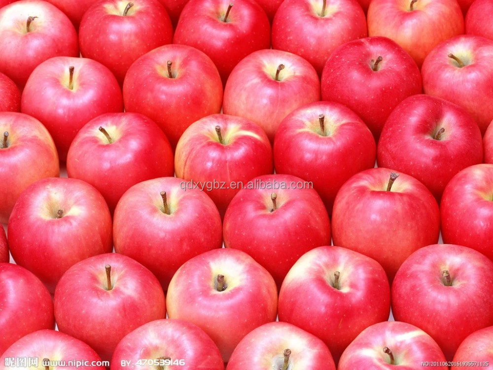 best price fuji apple fresh fruit