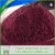 Import Best quality Cheapest cranberry freeze dried fruit from China