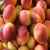Import Best Quality Fresh Peaches for sale from United Kingdom