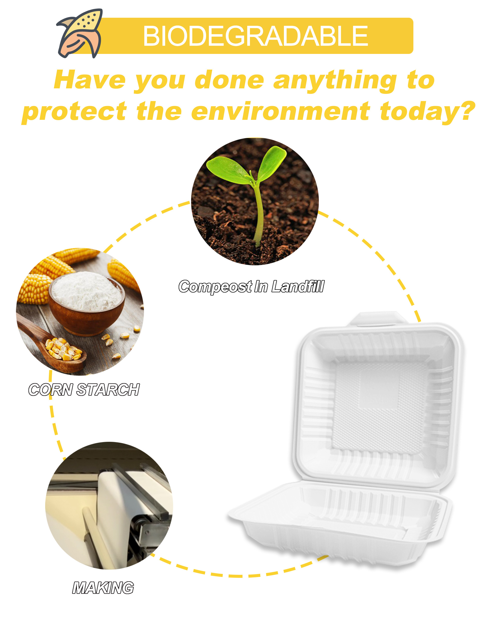 Buy Biodegradable Eco Friendly Biodegradable Corn-starch Container Box ...