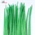 Import Bulk Cock Tail Plumage 50-55cm Artificial Crafts Plume Grass Green Pheasant Tail Feather For Decoration Carnival Costumes from China