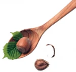 Bulk Hazelnuts In Shell & Kernels, Organic Hazel Nuts Price