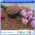 Import Bulk high quality red sorghum with reasonable price and fast delivery !! from China