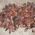 Import Cacao bean / cocoa (Organic certified) from China