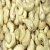 Import Cashew salted without husk I Salted roasted cashew nuts from Vietnam ( Cashew nuts -W240- W320- W450) from USA