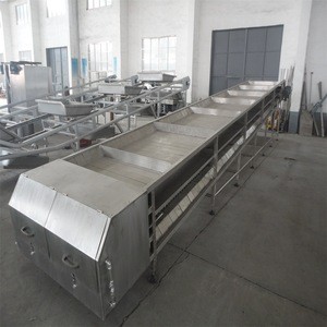 cattle cow beef meat processing plant