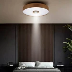 Ceiling spot lamp modern living room ceiling light stage Study bedroom