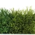 Import Certified Turf Artificial Grass From China Manufacturer from China