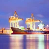 Cheap and safe transport sea shipping cargo to Dubai