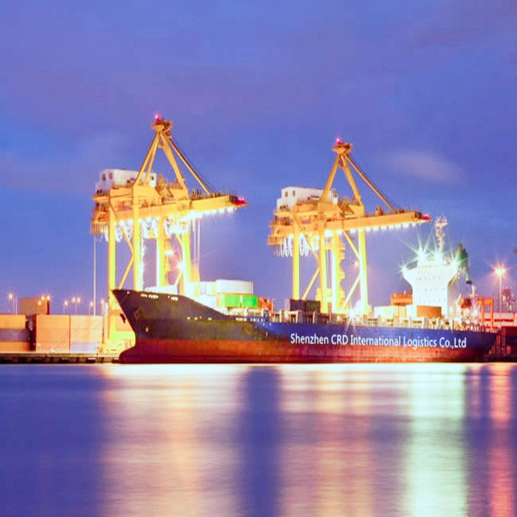 Cheap and safe transport sea shipping cargo to Dubai