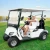Import Cheap electric golf cart for sale,two seat golf buggy from China