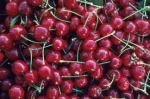 Cherries Fruit/Natural Cherries Fruit for sale/High Quality Cherries Fruit