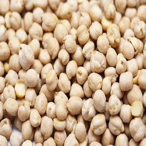 Chickpeas For Sale now