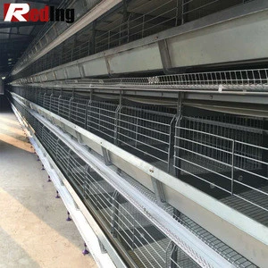 China Custom Made poultry battery cages for sale canada design cage system ghana chicken farm
