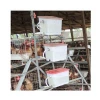 China factory quality galvanized wiremesh chicken battery cage in Kenya poulty farming