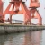 Import China manufacturer supply D type marine boat fender with high quality from China