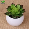 China Supplier Best quality plastic succulent artificial ornamental plants