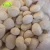 Import Chinese Origin Frozen Organic Chestnut from China