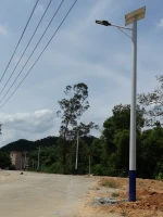 Competitive decorative solar street light lamp